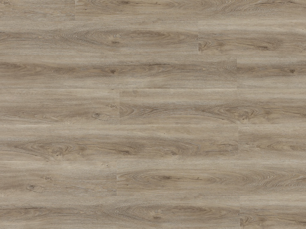Experto Click SPC 50 Dub Alicante 1026-3