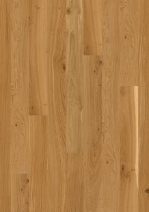 BOEN DUB ANIMOSO, matn lak 218