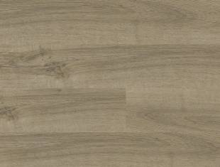 Floor Forever  Primero click Dub malovan 24935 310